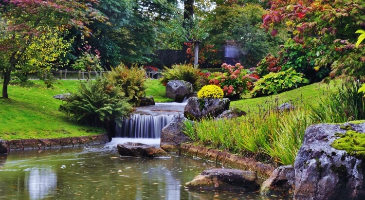 Cascade dans un jardin japonais