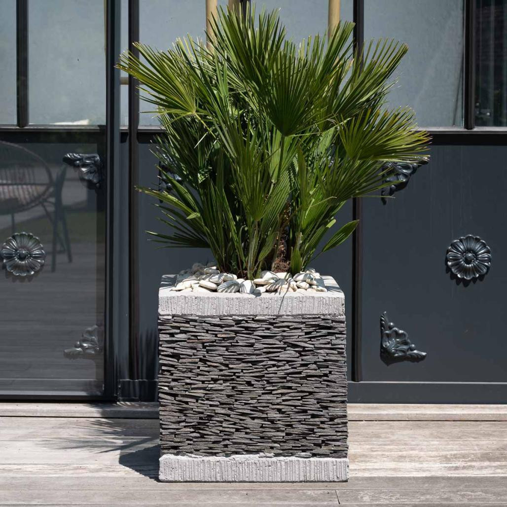 Pot bac jardinière carré ardoise 50cm jardin terrasse pierre naturelle Pot bac jardinière carré ardoise 50cm jardin terrasse pierre naturelle