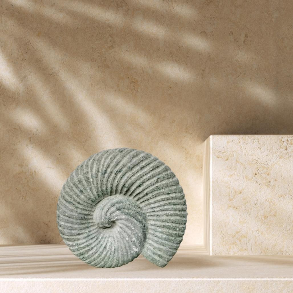 Sculpture coquille de nautilus en pierre volcanique 20 cm
