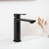 Robinet noir pour lavabo Louga