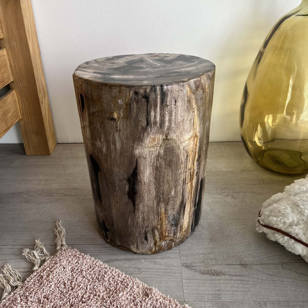Tabouret en bois, Pouf bois pétrifié Tabouret en bois, Pouf bois pétrifié