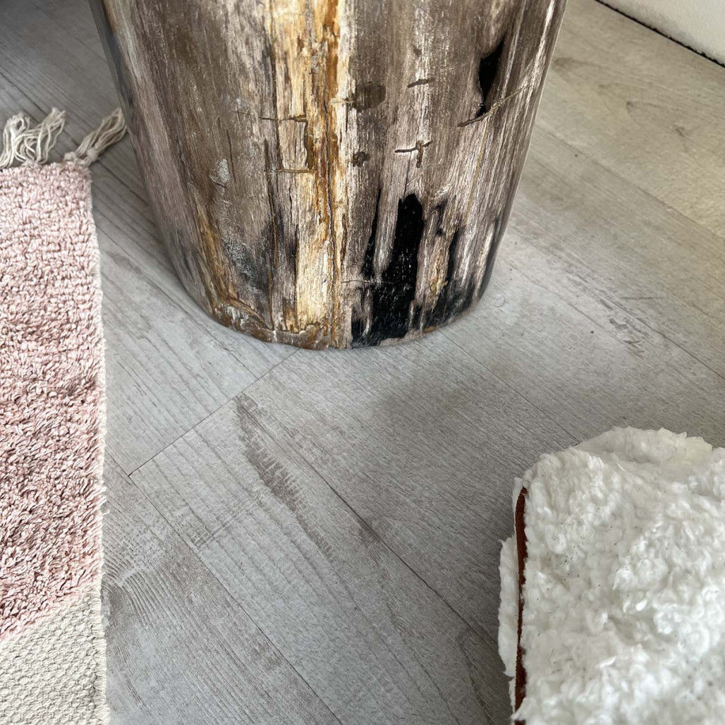 Tabouret en bois, Pouf bois pétrifié Tabouret en bois, Pouf bois pétrifié