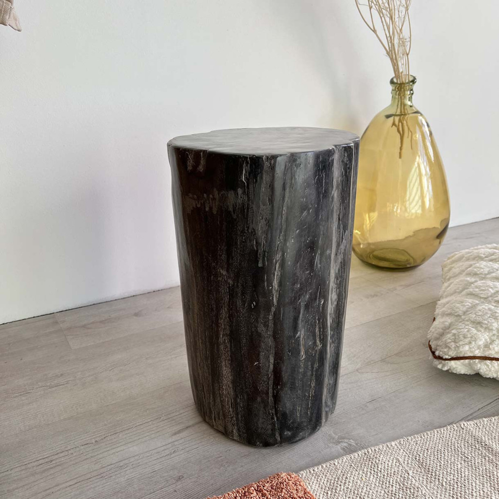Pouf en bois pétrifié fossilisé Pouf en bois pétrifié fossilisé