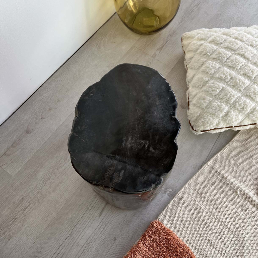 Pouf en bois pétrifié fossilisé Pouf en bois pétrifié fossilisé