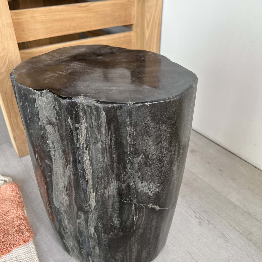 Pouf en bois pétrifié fossilisé Pouf en bois pétrifié fossilisé