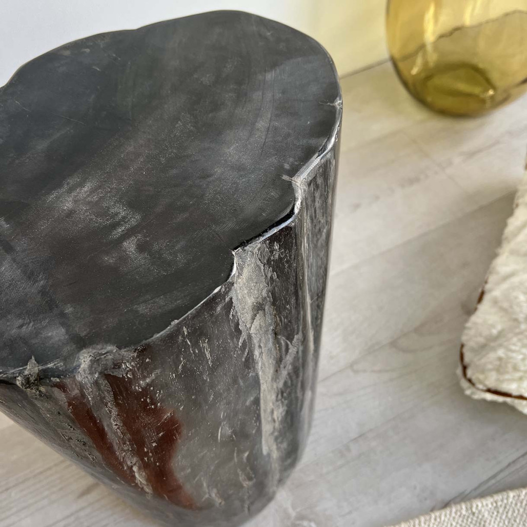 Pouf en bois pétrifié fossilisé Pouf en bois pétrifié fossilisé