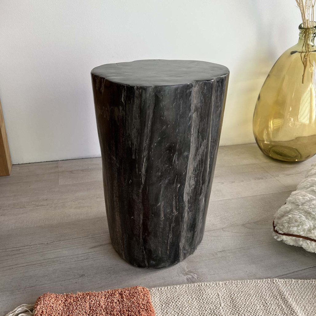 Pouf en bois pétrifié fossilisé Pouf en bois pétrifié fossilisé