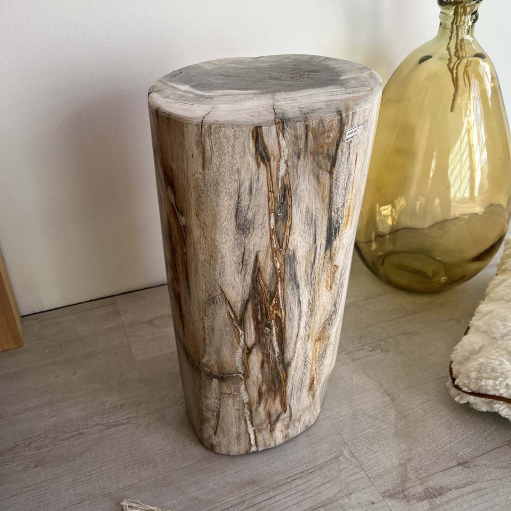 Tabouret bois pétrifié fossilisé