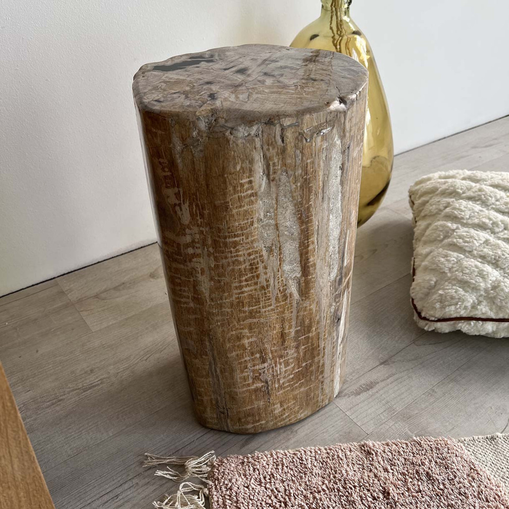 pouf bois pétrifié fossilisé - Wanda collection pouf bois pétrifié fossilisé - Wanda collection