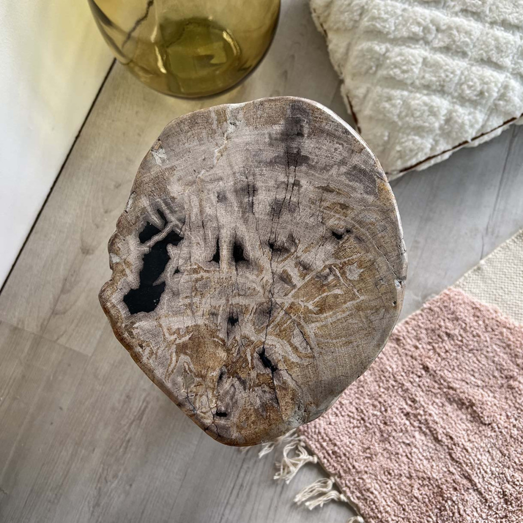 pouf bois pétrifié fossilisé - Wanda collection pouf bois pétrifié fossilisé - Wanda collection