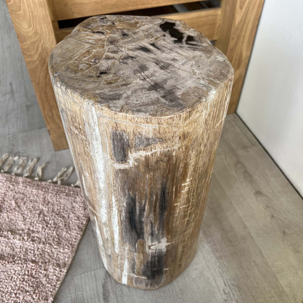 pouf bois pétrifié fossilisé - Wanda collection pouf bois pétrifié fossilisé - Wanda collection