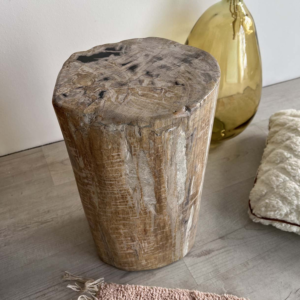 pouf bois pétrifié fossilisé - Wanda collection pouf bois pétrifié fossilisé - Wanda collection