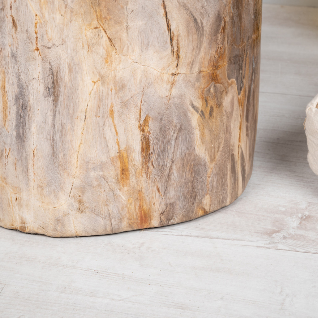 Tabouret en bois fossilisé - Wanda collection
