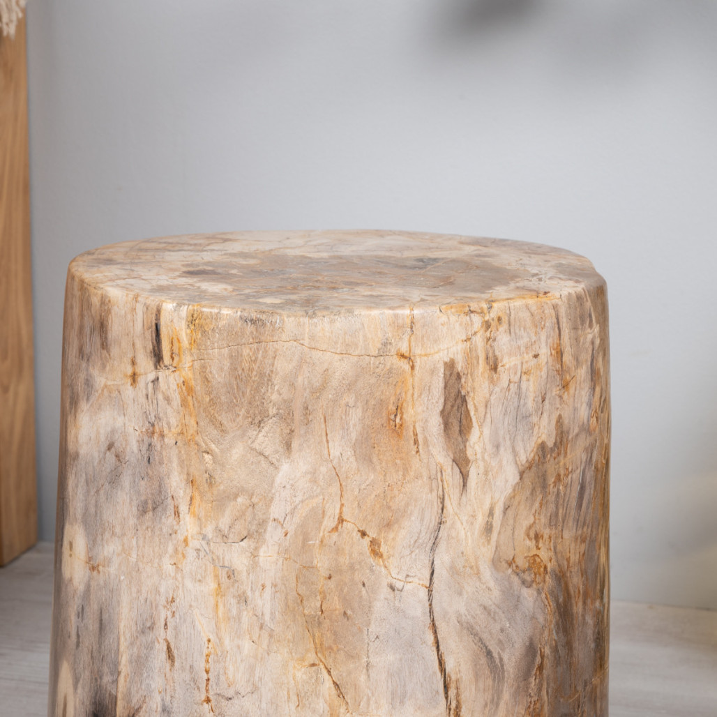 Tabouret en bois fossilisé - Wanda collection
