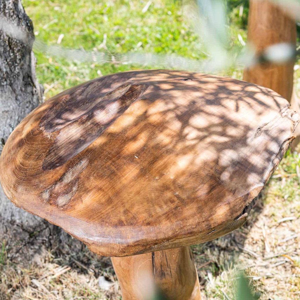 Champignon déco pour jardin en bois Champignon déco pour jardin en bois