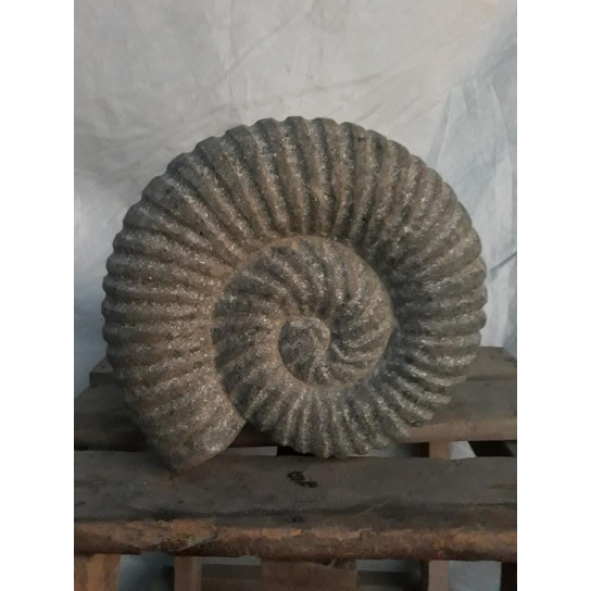 Coquillage nautilus en pierre 30 cm