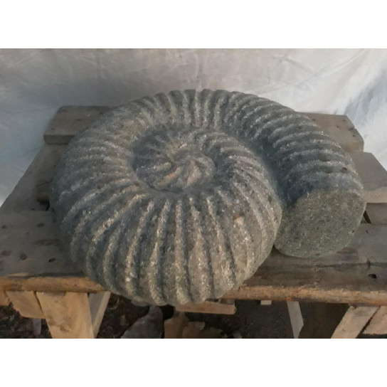 Coquillage nautilus en pierre 30 cm