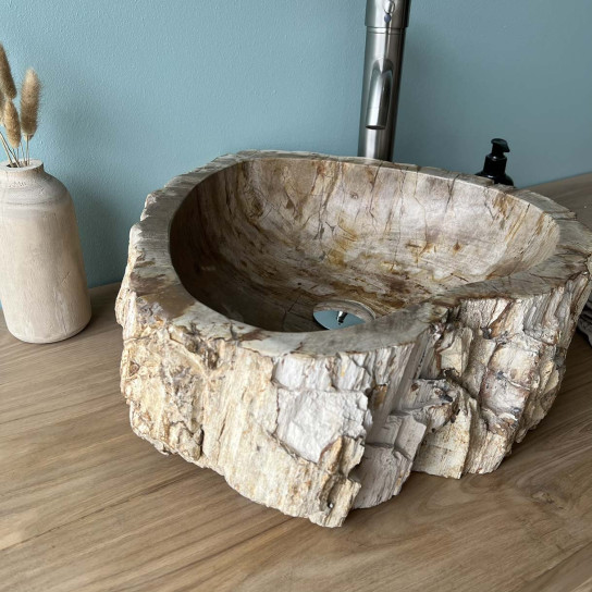Grande vasque à poser en bois fossilisé brun