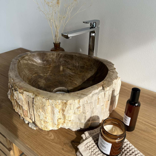 Grande vasque salle de bain en bois pétrifié fossilisé marron