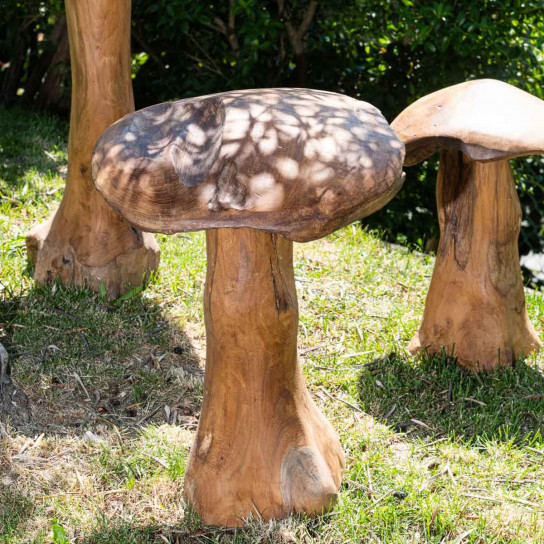 Set champignons en teck deco jardin