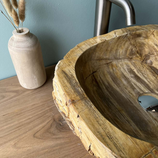 Vasque de salle de bain à poser en bois pétrifié fossilisé intérieur brun 45 cm