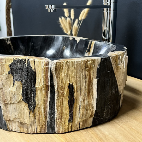 Vasque de salle de bain à poser en bois pétrifié fossilisé noir