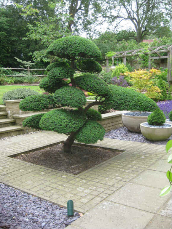 Créer un jardin japonais : création d'un jardin Zen